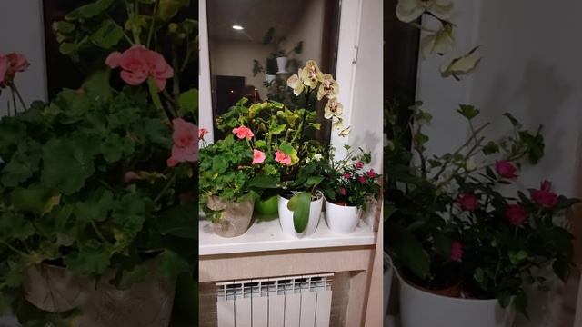 Идеальный кабинет ПСИХОЛОГА. смотреть онлайн