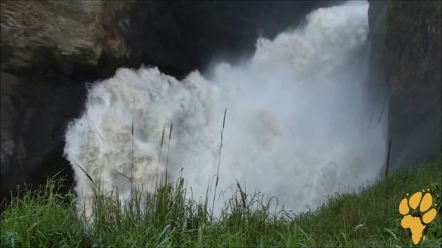 Дикая Африка. Природа Уганды - Водопад Мерчисон смотреть онлайн