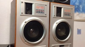 Акустическая система 15АС-220