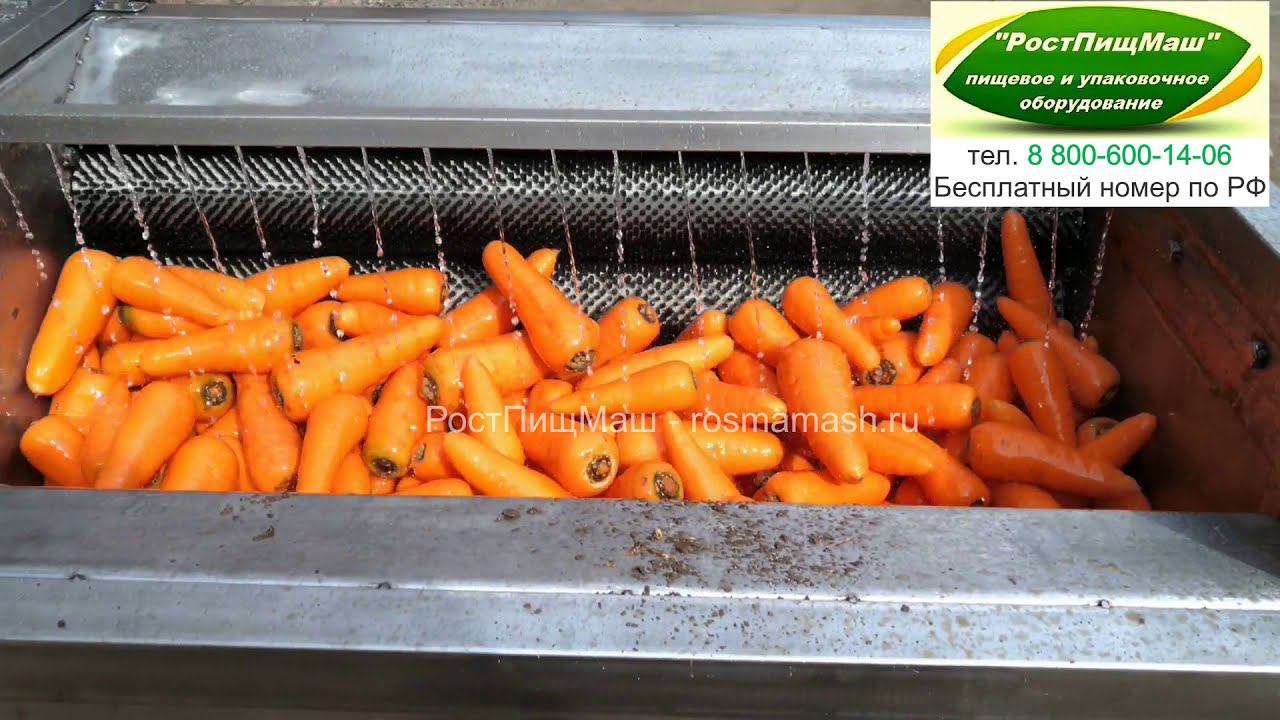 Обзор работы Машины мойки РПМ-МЧ-1000 от РостПищМаш смотреть онлайн
