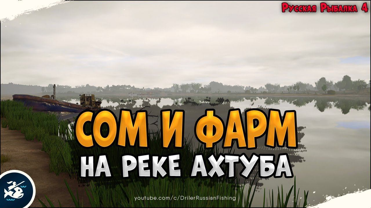 Сом и фарм на реке Ахтуба • Driler - Русская Рыбалка 4