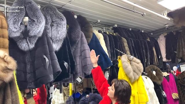 КРАСИВЫЕ ШУБЫ ИЗ НОРКИ, ПЕСЦА, РЫСИ И ДРУГИХ МЕХОВ. Опт и Розница. Садовод смотреть онлайн
