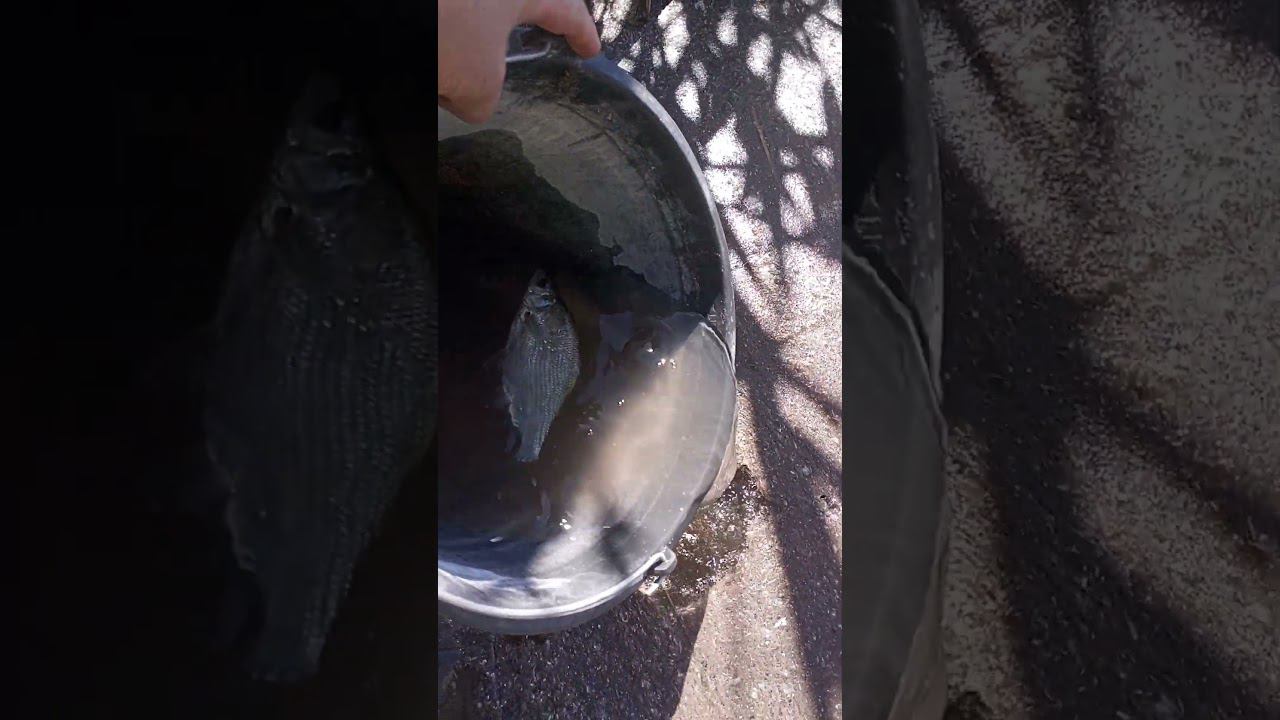 улов смотреть онлайн