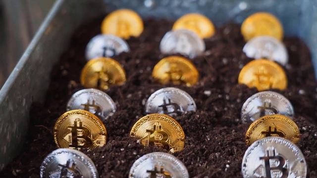 TOP REASONS WHY XLM WILL CREATE BILLIONAIRES - STELLAR PRICE PREDICTION FOR 2023 AND FORWARD смотреть онлайн