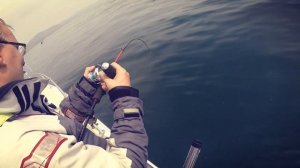 Ловля минтая на слоуджиг в Уссурийском заливе