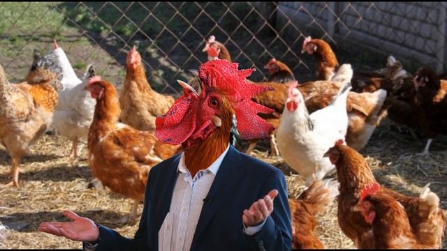Петух губернатор басня смотреть онлайн