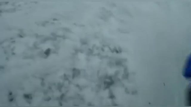 История о том, как не надо ходить по льду смотреть онлайн