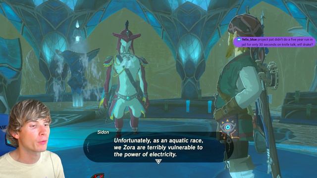 Zora's Domain is absolutely Magnificent in Breath of the Wild!! - 17 смотреть онлайн