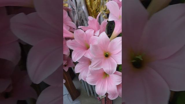 KALACHUCHI ARTIFICIAL FLOWERS #short смотреть онлайн