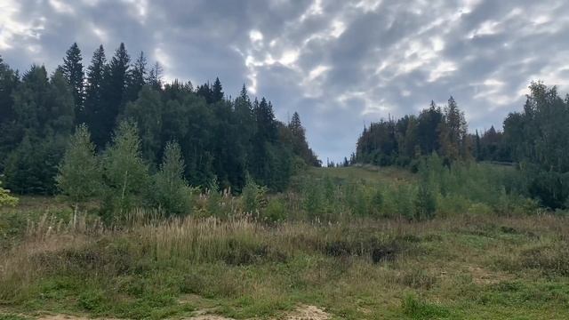 Красивое видео о Павловке! Павловский парк/Двенадцать апостолов/Август 2020/Путешествия по Башкирии смотреть онлайн