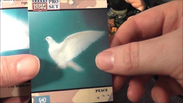 Desert Storm Pro Set Trading Cards Unwrapping & Review - The No Swear Gamer смотреть онлайн