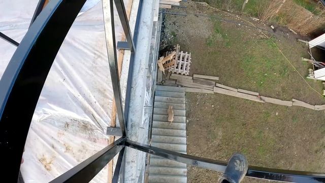 Бамби последнее...