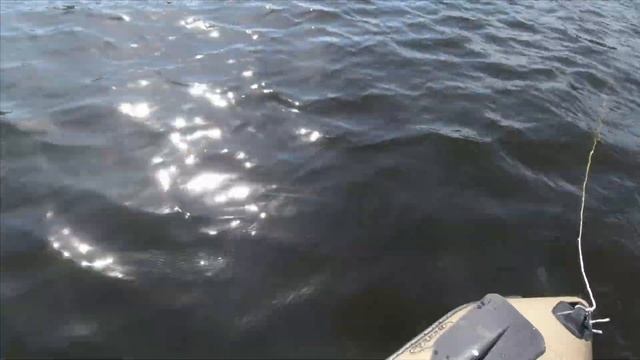 Отдых на реке Западная Двина. смотреть онлайн