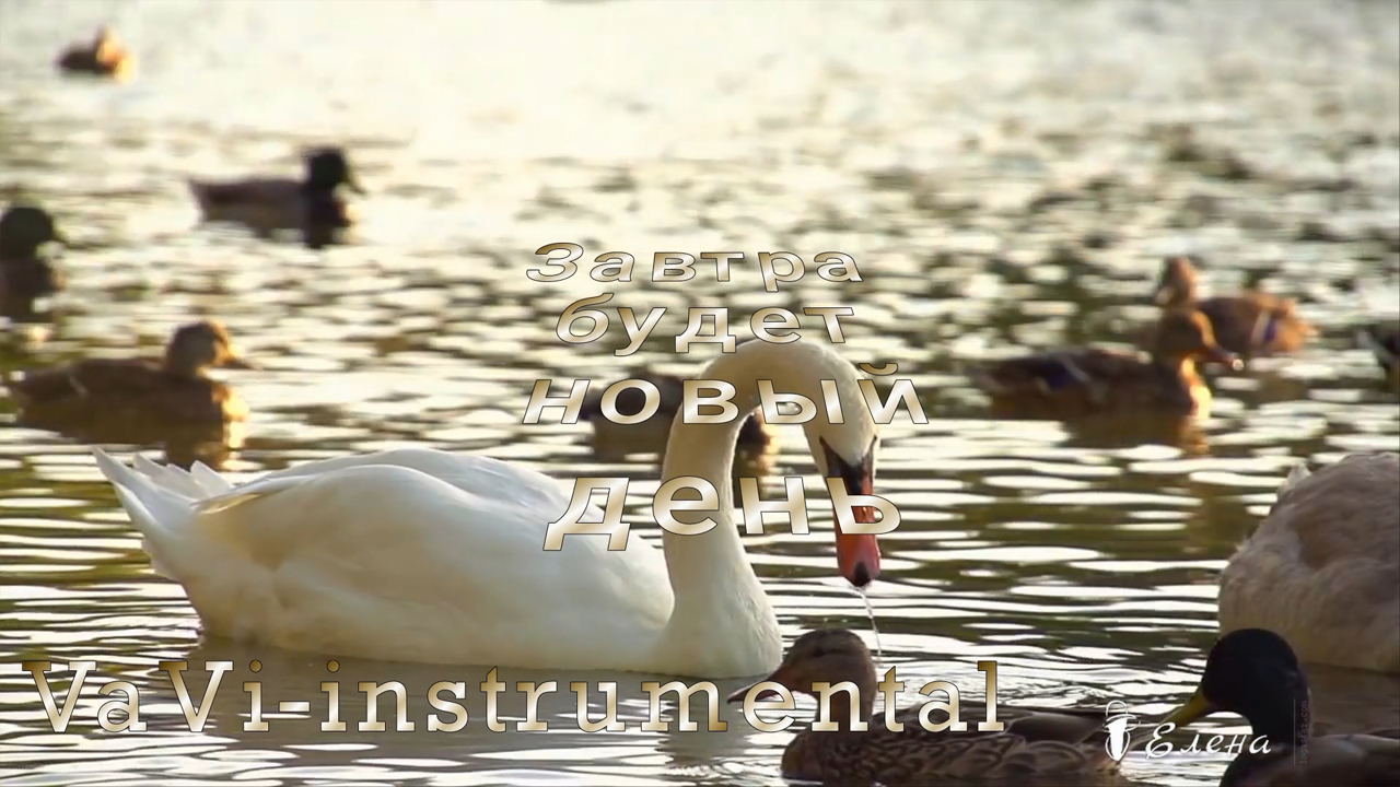 Завтра будет новый день*