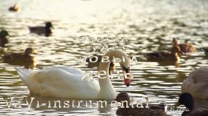 Завтра будет новый день*