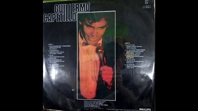 Guillermo Capetillo-Estoy Enamorado Y Tengo Miedo смотреть онлайн