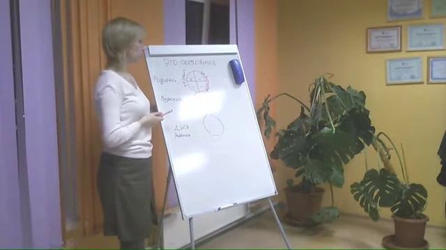 Фонд "Возрождение". Транзактный анализ (Эго-состояния). смотреть онлайн