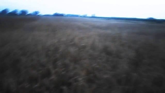 25 июля!!!!Зерно можно жать !!! Есть Головня)))) смотреть онлайн