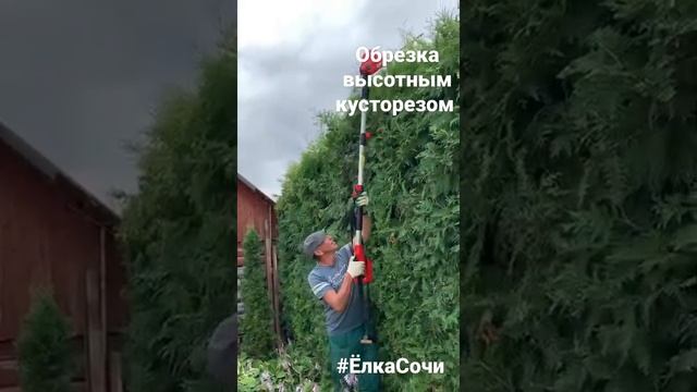 Выравнивание кусторезом живой изгороди смотреть онлайн