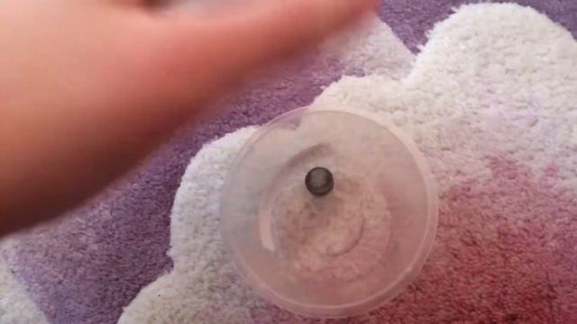 Что нужно реборну в первое время смотреть онлайн