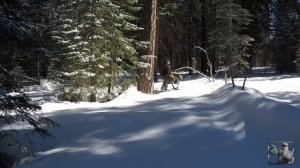 Выживание. Изготовление мыла