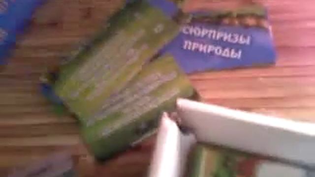 Мои настольные игры.1 видео смотреть онлайн