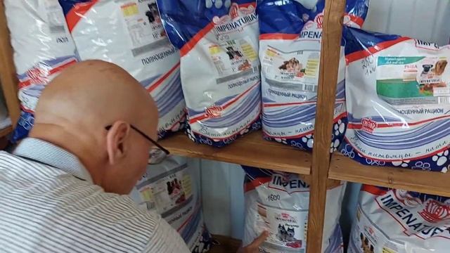 Чем кормим Алабая. Отличный российский корм. смотреть онлайн