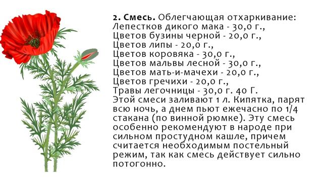 Красный мак или Мак самосейка смотреть онлайн