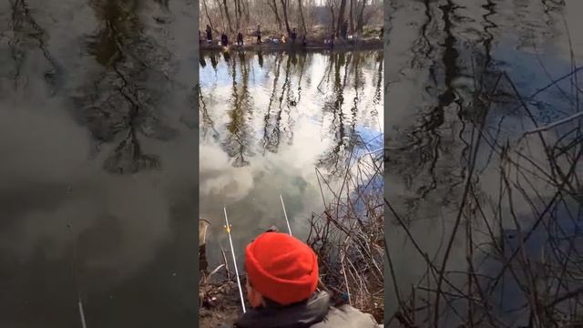 #shorts все ждут клев. зимняя рыбалка на тарань. смотреть онлайн