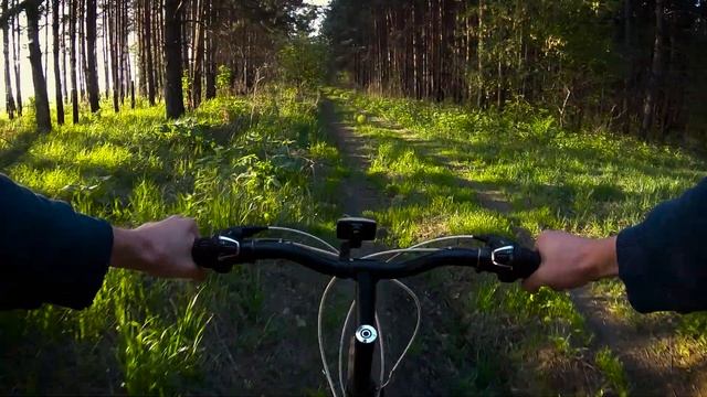 Езда на велосипеде в лесу с GoPro 7 black смотреть онлайн
