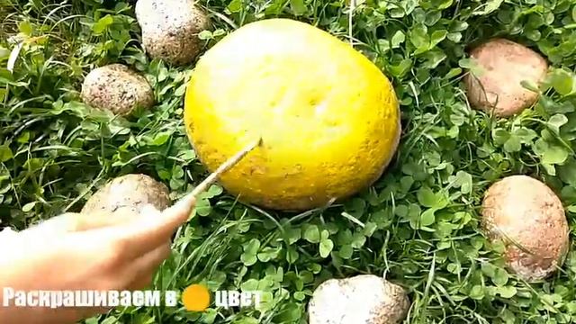 Рисуем смайлики на камнях #смайлики #рисуемнакамнях #рисуюнакамнях #красота смотреть онлайн