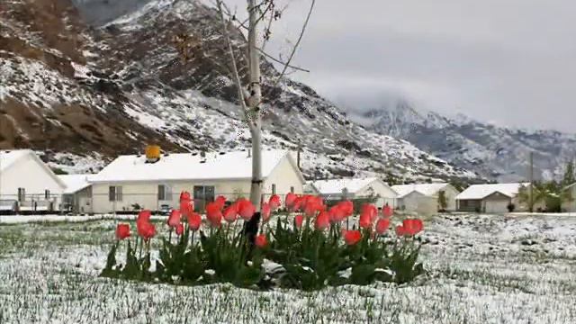 С Первым Днём Весны ... смотреть онлайн