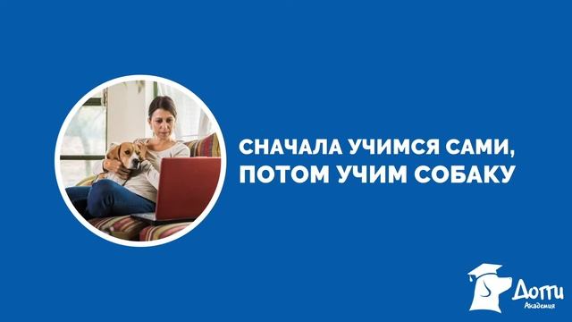 Сколько занятий по дрессировке надо собаке