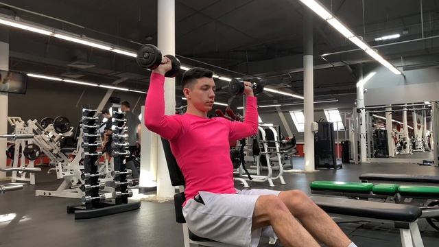 Жим гантелей сидя смотреть онлайн