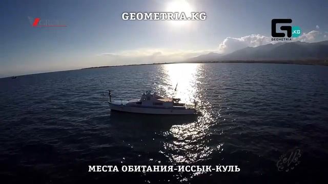 Места обитания Иссык Куль смотреть онлайн