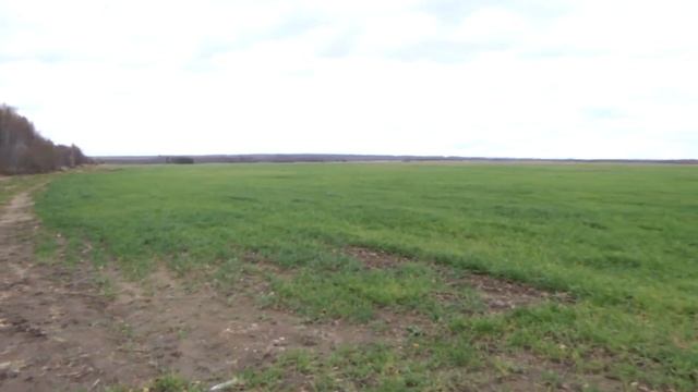 Сельское хозяйство Арзамасского района 2020 смотреть онлайн