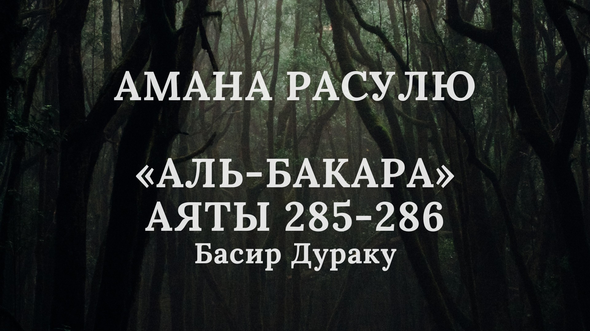 Амана Расулю "Сура аль-Бакара" Аяты 285-286 | Красивое Чтение Корана | Басир Дураку смотреть онлайн