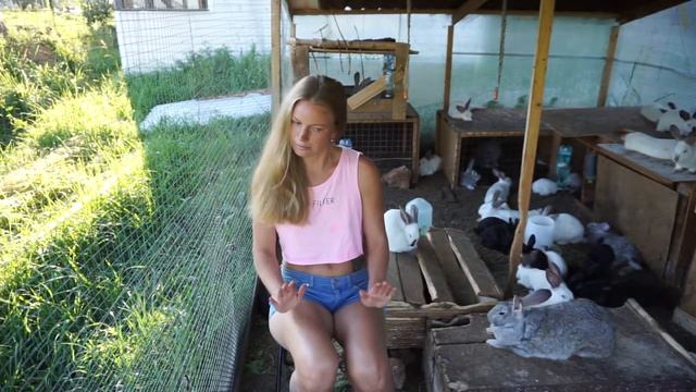 обращение по сбору средств на строительство Кроликофермы смотреть онлайн