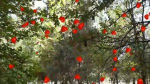 СИНФДОШИМ БИЛАН.ЭРИМДАН ЗЎР...ЭДИ    ..............            (ИБРАТЛИ ҲИКОЯЛАР ТУРКУМИДАН)