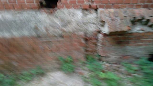 Поход по Светлогорску #3 #Культура#Города