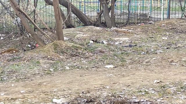 Самый чистый город на Волге. смотреть онлайн