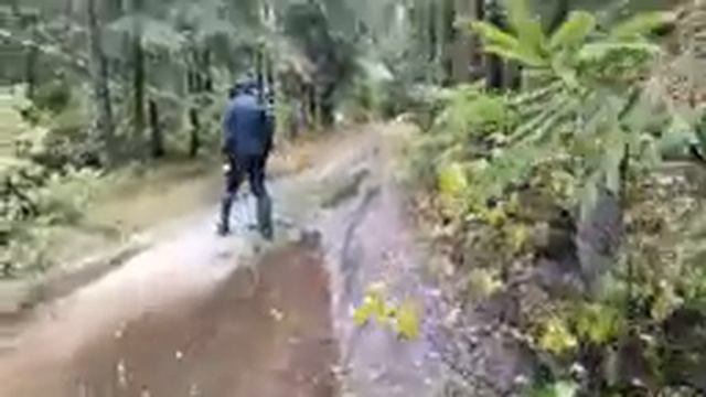 ЗМЕИНЫЙ КАМЕНЬ НАЙДЕН! Поход по Мещёре в поисках языческого камня у села Шатур! смотреть онлайн