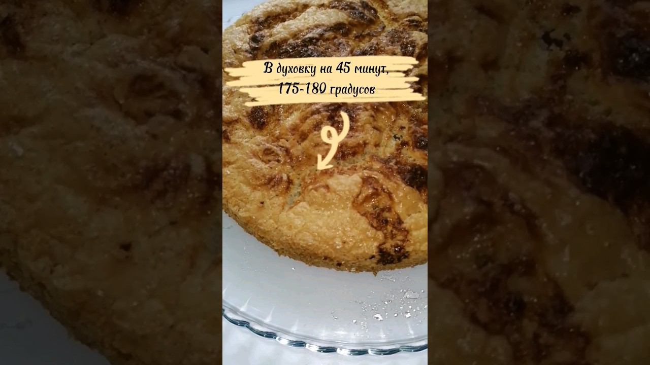 АНАСТАСИЯ РЫБАКОВА