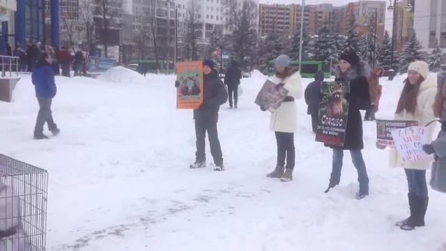 Акция "Животные, не одежда!" Тюмень, 2014 смотреть онлайн