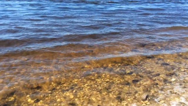 Пляж на Волге. Самара. Июнь | City beach of Samara in June смотреть онлайн