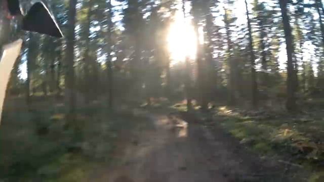 Une AUTOROUTE en pleine FORET !! PISTES FORESTIERES à perte de vue Dirt 125 / Honda xls 125 смотреть онлайн