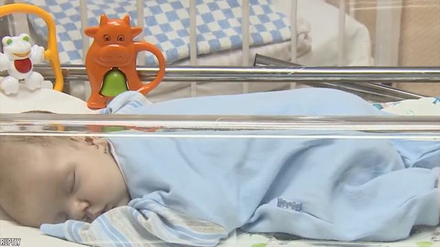 12 невероятных животных, которые спасли человеческие жизни смотреть онлайн