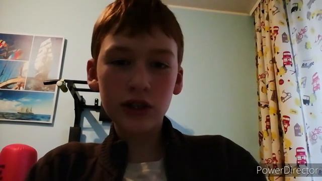 8 выпуск. Новокаледонский пёстрый голубь. Сбререц! Влог о животных. смотреть онлайн