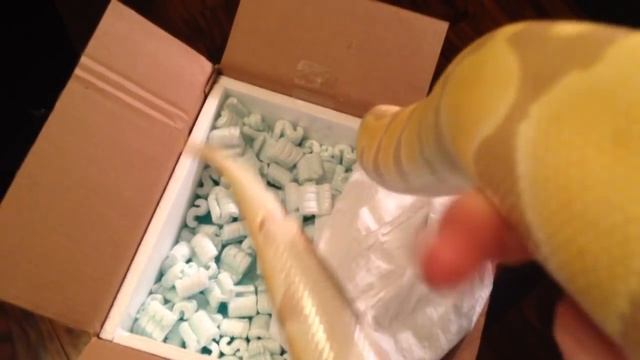 "Candino" Ball Python Unboxing! смотреть онлайн