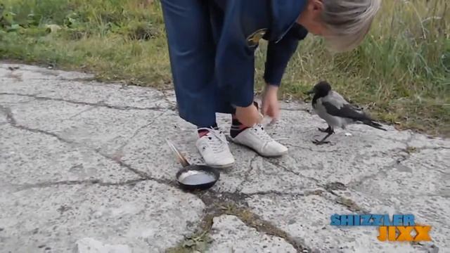 youtube video - Сорока Звезда Ютуба смотреть онлайн